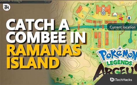 How to Catch Combee Ramanas Island in Pokemon Legends: Arceus